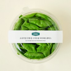 프리미엄 친환경 스마트팜 버터헤드레터스, 100g, 1개