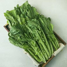 국내산 돌산갓, 2kg, 1개