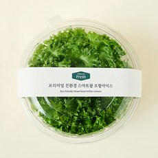 프리미엄 친환경 스마트팜 프릴아이스, 100g, 1개
