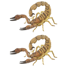 papo 蠍子公仔 50209, 2個