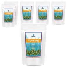 티샹떼 모과차 삼각망 티백, 1.5g, 25개입, 6개