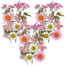 A-ONE 匯旺 真花壓花 小花包 粉色花語 Set 3個