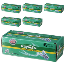 Raymax 鹼性AA電池, 40顆, 6盒