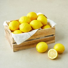 곰곰 미국산 레몬, 1개, 5kg