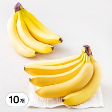 바나밸리 에콰도르산 바나나, 10개, 1.25kg