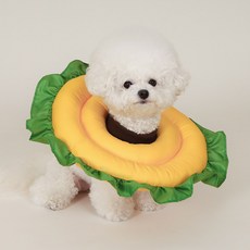 Chocopet House 向日葵寵物頭套, 1個, 混合色