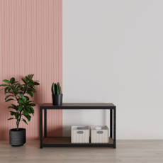 슈랙 철제 선반, 블랙프레임, 2단