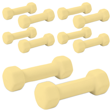 앳플리 LW 미용아령, 0.5kg, 10개