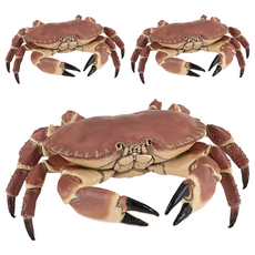 papo 海洋動物公仔 螃蟹, 3個