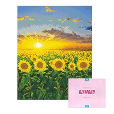 DCLARE 相框畫布型鑽石畫 DIY 套組 40 x 50 cm, 1套, 夕陽 縱向