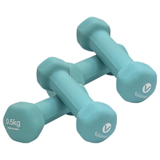 밸런시스 미용아령 민트, 0.5kg, 4개