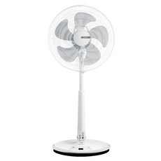 CHIMEI 奇美家電 16吋DC馬達微電腦ECO立扇 可遙控, DF-16B0S1