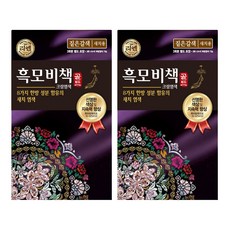 리엔 흑모비책 골드 염모제 세트 90g, 짙은갈색, 2개