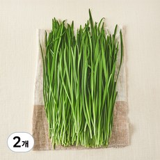 국내산 무농약 부추, 300g, 2개