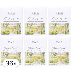 디스이즈명화 걸이형 종이사쉐 본품, 4g, 36개, 레몬유칼립투스