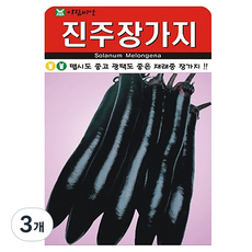 아람종묘 진주장가지 씨앗, 3개