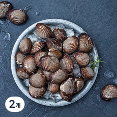 바다자리 생물 피꼬막 (냉장), 1.5kg, 2개