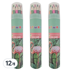 아트모아 전문가용 색연필, 12색, 12개