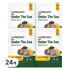 펫러닝 강아지 더프로젝트 PLAN2 언더더씨 후코이단 자연화식, 초록잎홍합맛, 100g, 24개