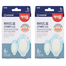 해피홈 하이드로 규격패치 멸균밴드 혼합형, 6개입, 2개