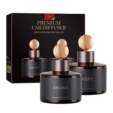 에이센트 차량용 디퓨저 세트, 딥체리, 2개