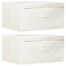 가정용 더블 뚜껑형 손잡이 리빙박스, 크림, 2개