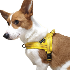 PETSTRY 狗狗氣墊Easy Walk胸背帶, 黃色