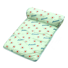 涼感水果墊 附靠枕 透氣 止滑顆粒 貓咪適用, 綠色酪梨