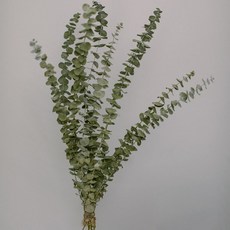 GAPANG 乾燥花 03號, 綠色