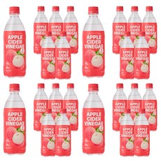 클룹 애사비 리치 제로 탄산음료, 24개, 500ml 24개, 500ml