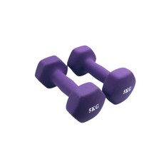 Twinbro六角健身美容啞鈴 氯丁橡膠 紫色 5kg, 2個