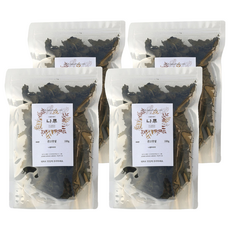 나물투데이 국내산 건고춧잎, 100g, 4개