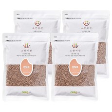 씨익 소반미반 렌틸콩, 500g, 4개
