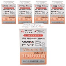 人生製藥 渡邊 維他命B2 100mg, 60錠, 5盒