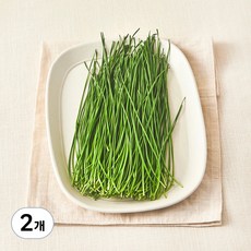 친환경 영양부추, 100g, 2개