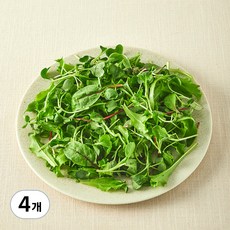유기농 어린잎 채소믹스, 50g, 4개, 50g