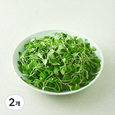 친환경 베이비 루꼴라, 2개, 50g 2개, 50g