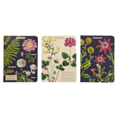 CAVALLINI&CO. 口袋筆記本 NBHERB/MINI, 植物圖鑑 青色 + 米黃色, 3本