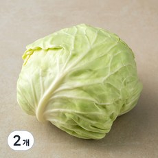 국내산 유기농 양배추, 1통, 2개