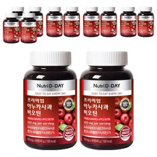 뉴트리디데이 프리미엄 아누카사과 비오틴 45g, 90정, 12개