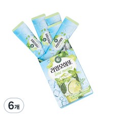 JAMES TEASPOON 薄荷檸檬水風味飲隨身包, 80g, 8條, 6盒