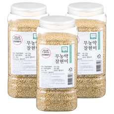월드그린 싱싱영양통 무농약 찰현미, 2kg, 3개