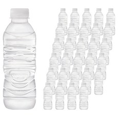 아이시스 생수 화이트캡 무라벨, 40개, 300ml