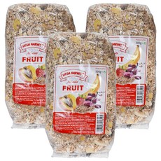 MEGA HARVEST 德國天然什錦水果穀片 500g, 3包