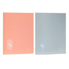 deLi 得力 軟式透明文件夾 40頁 PQ607-40, 隨機出貨, 2個