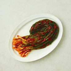 한울 실비파김치, 300g, 1개