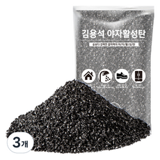 김용석생활연구소 야자활성탄 공기정화 실내 탈취제 본품, 1kg, 3개