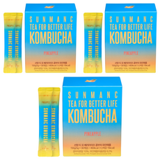 선망 콤부차 파인애플맛, 5g, 3개, 30개입