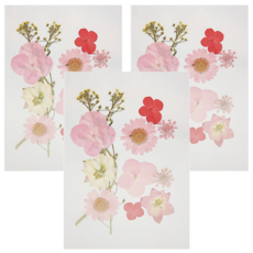 A-ONE 匯旺 真花壓花 小花包 Set 春色宜人, AA02 春色宣人