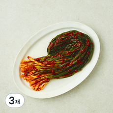 한울 실비파김치, 300g, 3개